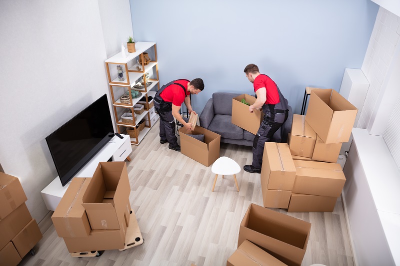 Men Loading The Cardboard Boxes During Moving - local movers